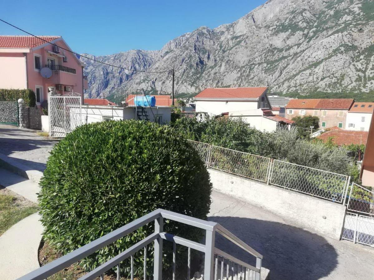 Apartments Alisa Kotor Exterior photo